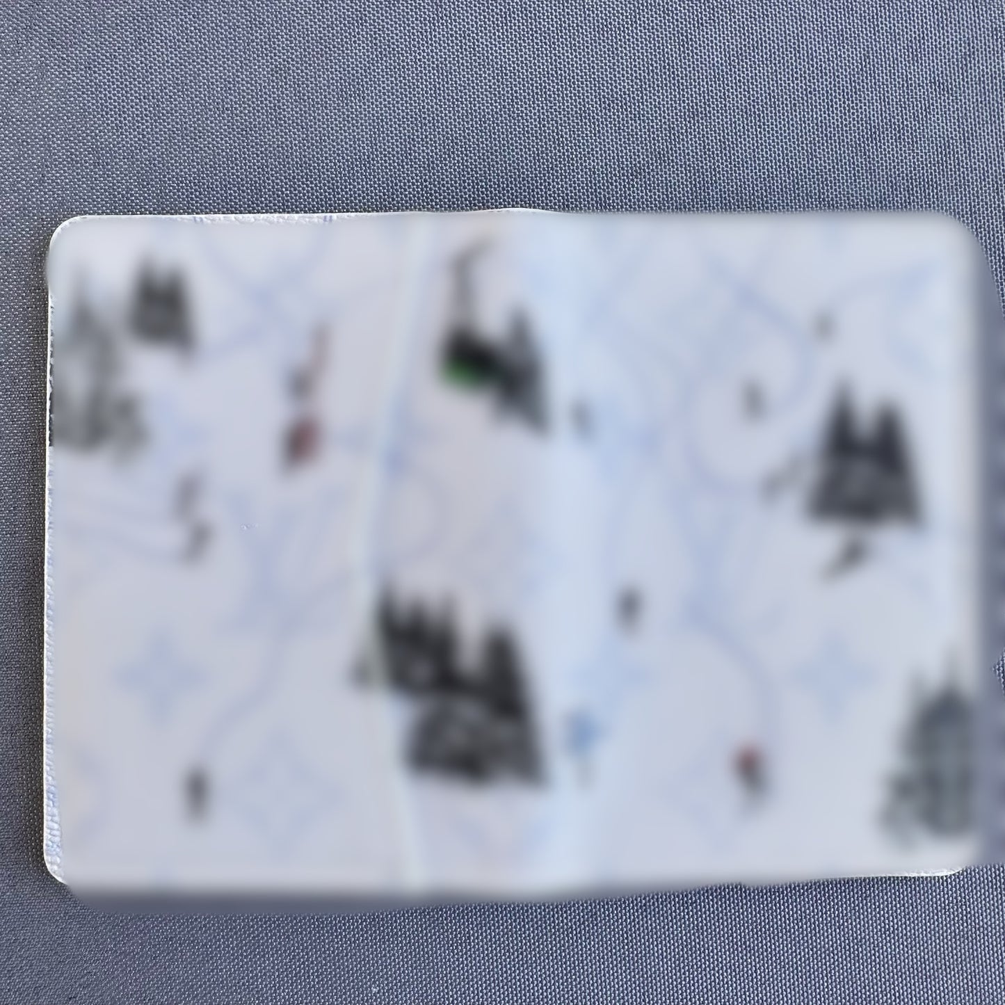 Snow Pocket Organizer